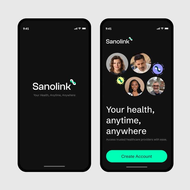 Sanolink brand identity work sample